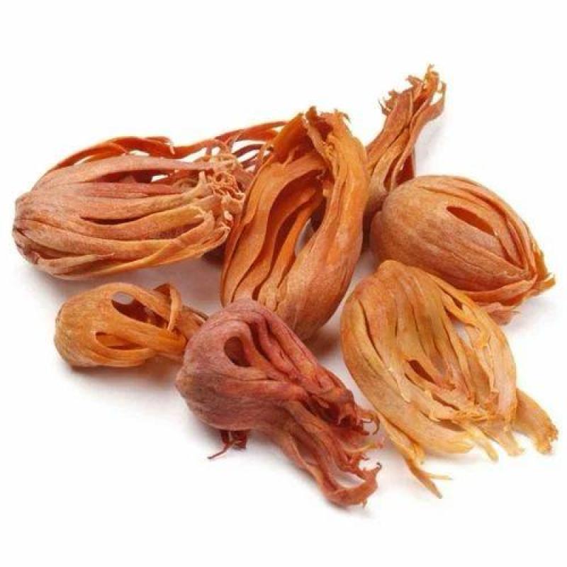જાવંત્રી (JAVNTRI)
