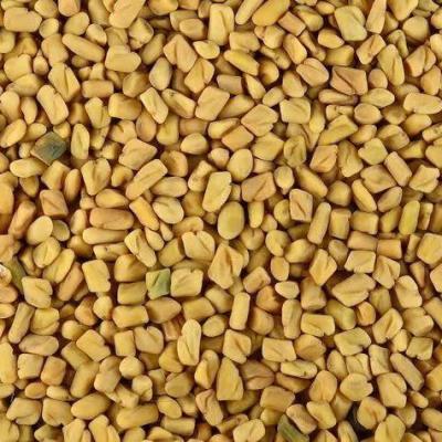 મેથી (METHI)