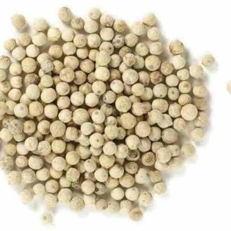 સફેદ તીખા (WHITE TIKHA)